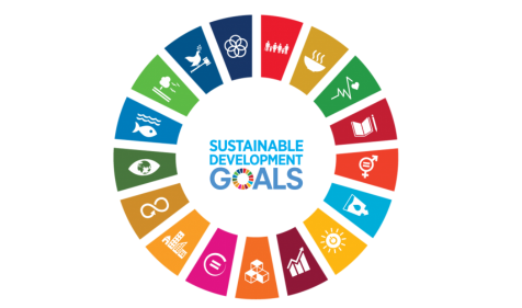 Sustainable Development Goals und BNE-Akteur