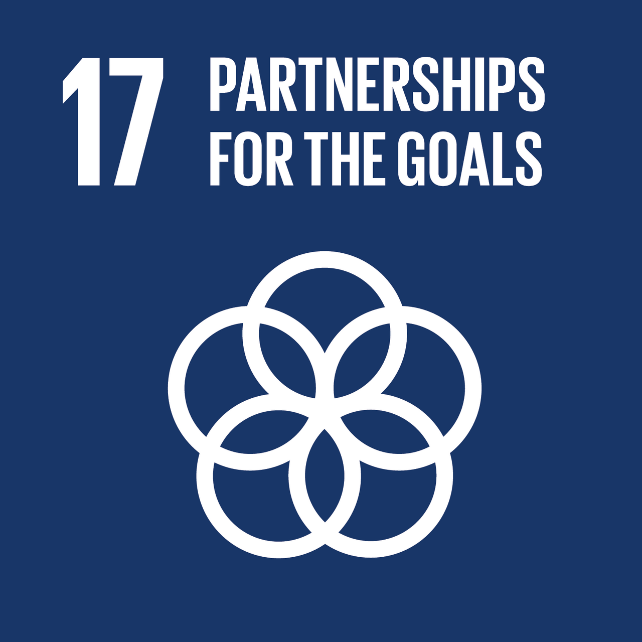 SDG 17 Partnerships for the Goals icon highlighting international collaboration between schools in Mainz, Ostrava, Porto and future partners through the Music Unites Us European music project